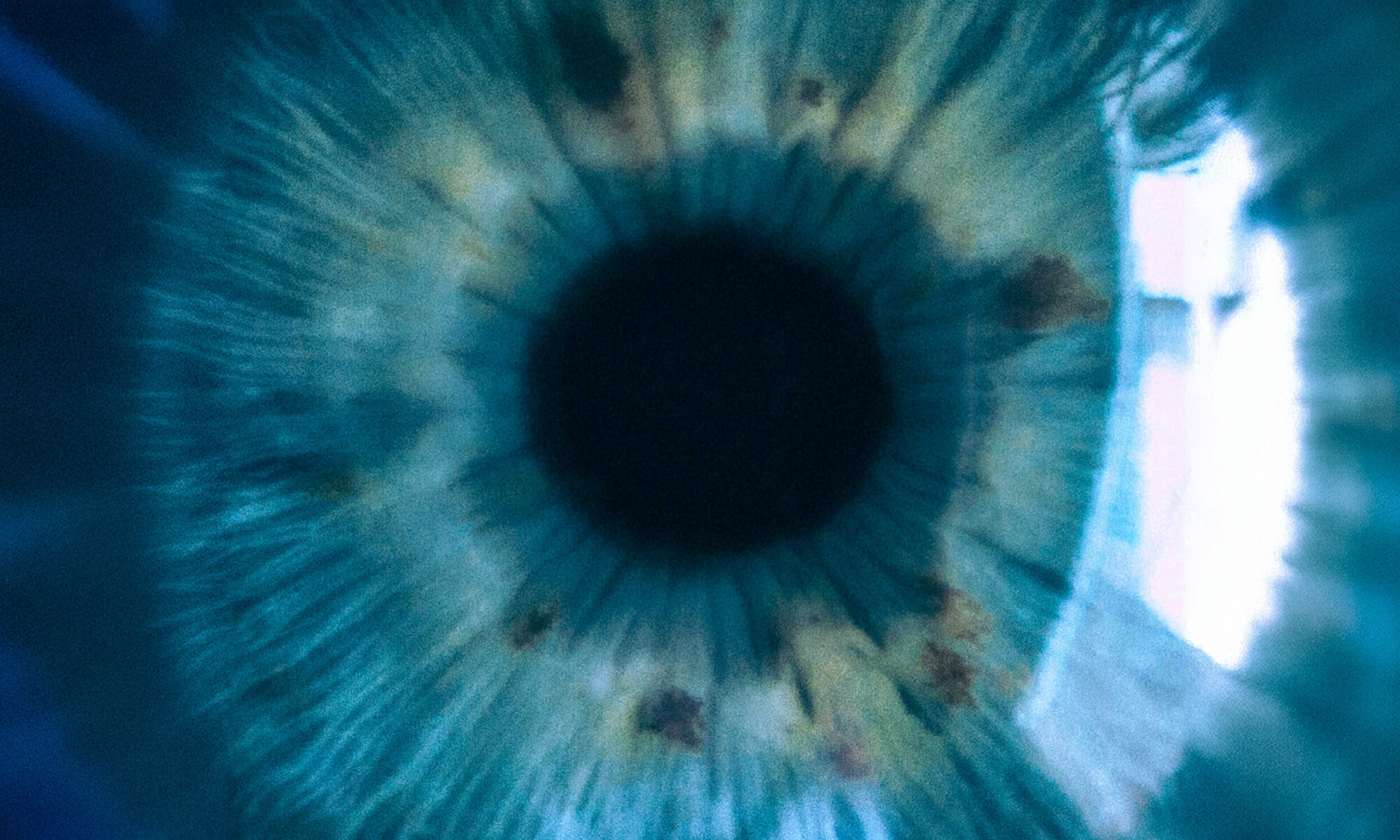 Nahaufnahme einer blaugrünen Iris mit dunkler Pupille